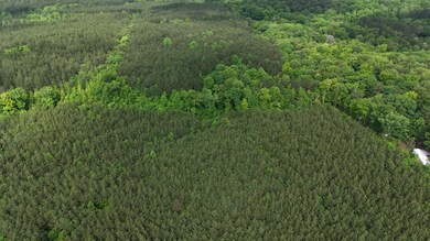 0 0 Cr 323 (29 Acres) unit 25-2233, Iuka, MS 38852 - photo 6