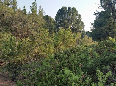 910 S Ridgeway St unit 35, Payson, AZ 85541 - photo 3