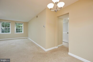4900 29th Rd S unit B1, Arlington, VA 22206 - photo 6