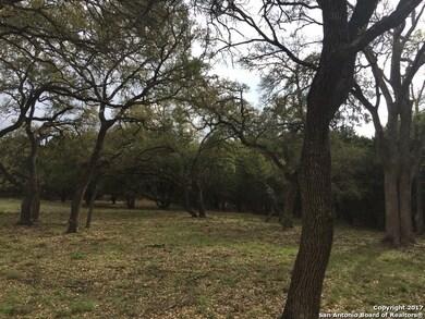 9202 Highlands Cove, Fair Oaks, TX 78006 - photo 4