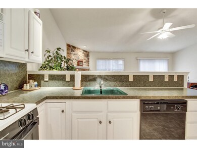 4157 Green Park Dr, Mount Joy, PA 17552 - photo 5