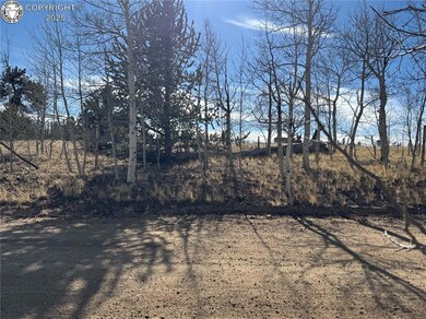 381 Remington Rd, Jefferson, CO 80456 - photo 5