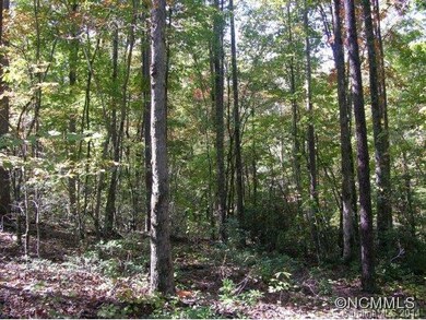 1617 Womack Rd unit 16,17, Mill Spring, NC 28756 - photo 2