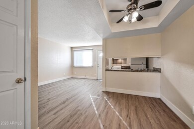 3141 E Cypress St unit 11, Phoenix, AZ 85008 - photo 6