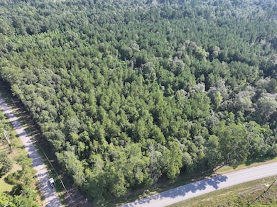 0 Hwy 1045 Hwy unit LotWP003 24553811, Amite, LA 70422 - photo 5