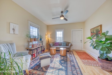 225 Cedar Ave, Knoxville, TN 37917 - photo 4