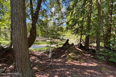 171 Whispering Pines Rd, Sagle, ID 83860 - photo 5