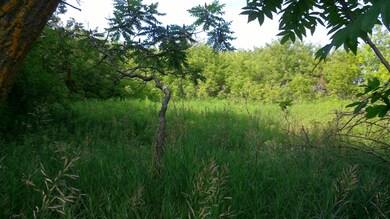 WIN_20170719_17_24_24_Pro