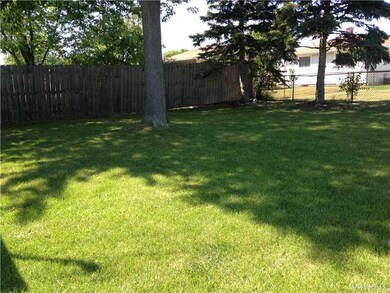 Yard.