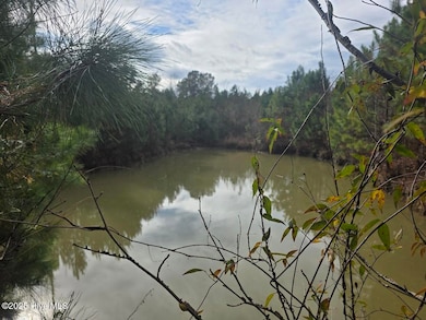 9093 Joe Brown Hwy N, Bladenboro, NC 28320 - photo 3