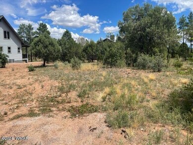 641 Campbell Ln, Show Low, AZ 85901 - photo 3