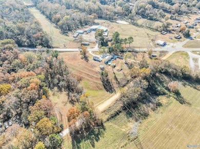 560 Alabama 101, Rogersville, AL 35652 - photo 5