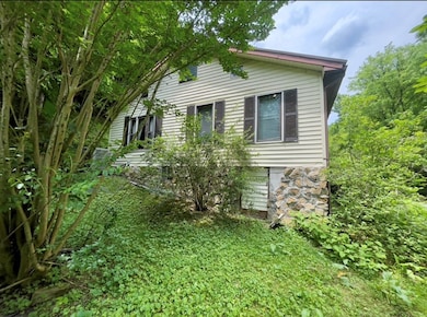 67 Kidd Fork Rd, Honaker, KY 41603 - photo 5