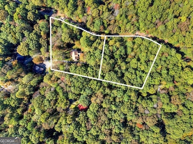 446 Riverwood Rd, Ellijay, GA 30536 - photo 5