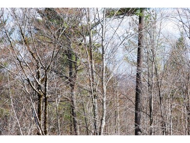 66 Grandview Rd, Conway, NH 03860 - photo 5