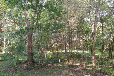 505 Leisure Ln, Friendswood, TX 77546 - photo 5