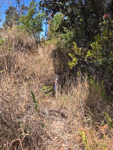 0 Bamboo Ln unit 710662, Ocean View, HI 96704 - photo 5