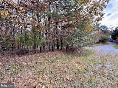 0 Whitetail Dr, Berkeley Springs, WV 25411 - photo 6