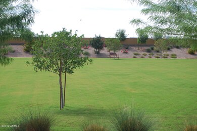 grassy area
