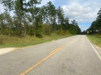 00 Spring Flats Rd, Sylvester, GA 31791 - photo 4