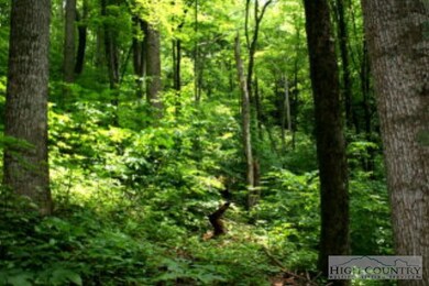 30 Acres: If you have been looking for quiet, secl