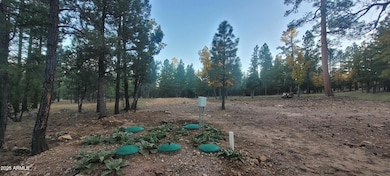 2857 Sparrow Dr unit 22, Happy Jack, AZ 86024 - photo 5