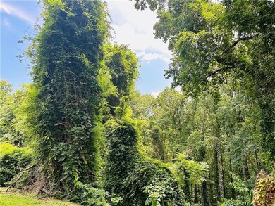 2582 White Sulphur Rd, Gainesville, GA 30501 - photo 5