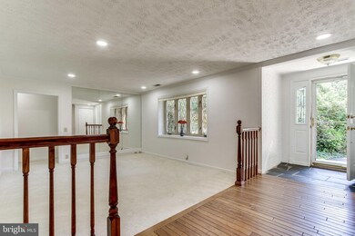 7404 Franklin Rd, Annandale, VA 22003 - photo 2