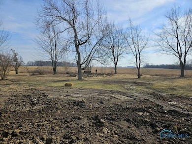 22401 Cygnet Rd, Custar, OH 43511 - photo 3