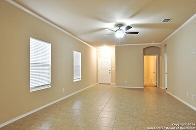 11223 Schinz Field, Helotes, TX 78023 - photo 5
