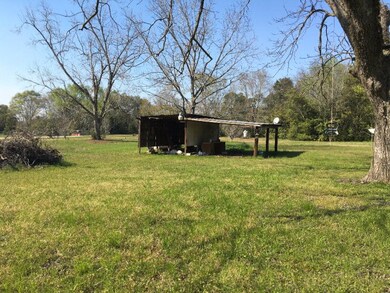 5552 Ga Highway 39, Donalsonville, GA 39845 - photo 7