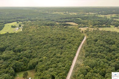 000 Luetjen Ave, Cole Camp, MO 65325 - photo 4