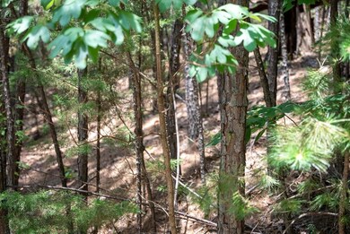 00 Ponderosa Pine Dr unit Lot 12, Pine A Township, MO 65611 - photo 6