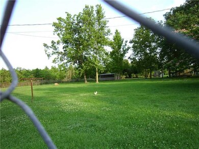 Other. Right side of yard