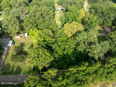 0 Debbie Dr, Canton, MS 39046 - photo 3