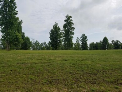 20180530_173313_resized-1