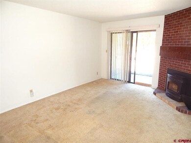 2926 Holly Ave unit 301, Durango, CO 81301 - photo 5