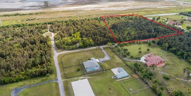 first photos-5