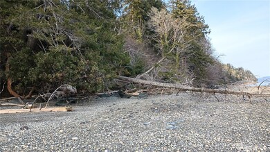 32241 (P9&P10) Highway 101, Lilliwaup, WA 98555 - photo 5