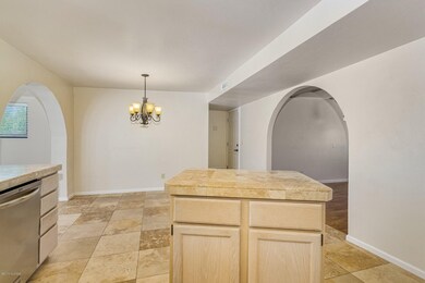 Catalina Shadows (7)