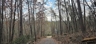 Tract 30 Gillespie Rd SE, Fairmount, GA 30139 - photo 3