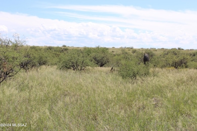 TBD E Naiche Rd unit 56, Saint David, AZ 85630 - photo 7