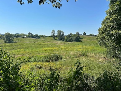 0 McClures Bend Ln unit 238816, Carthage, TN 37030 - photo 7