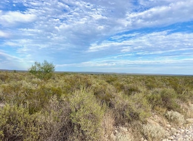 RR 1865 unit RR 1865 (Pumpville), Comstock, TX 78837 - photo 4