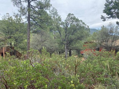 186 N Trails End Dr, Pine, AZ 85544 - photo 4