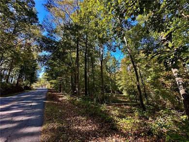 216 W Halfway Branch Rd, Walhalla, SC 29691 - photo 3