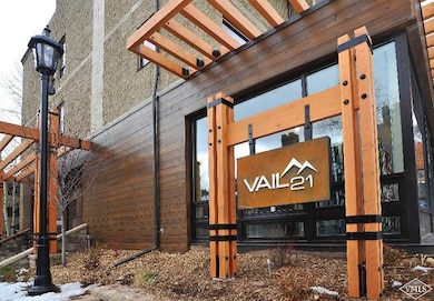 521 E Lionshead Cir unit C301, Vail, CO 81657 - photo 3