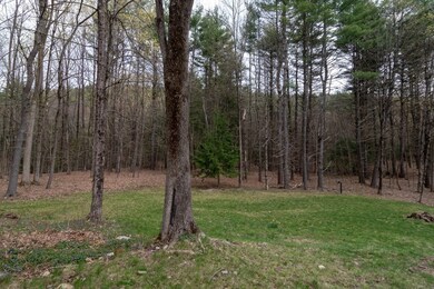 335 Long Plain Rd, Leverett, MA 01054 - photo 5