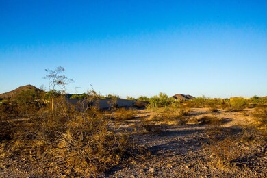 9199 S Krista Drive - LOT 54 (3)