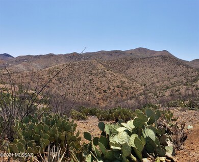 15600blk E Attaway Trail, Vail, AZ 85641 - photo 3